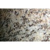 Juparana Chiaro Granite Tile
