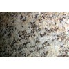 Juparana Chiaro Granite Tile