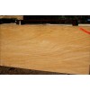 Teakwood Sandstone Slab