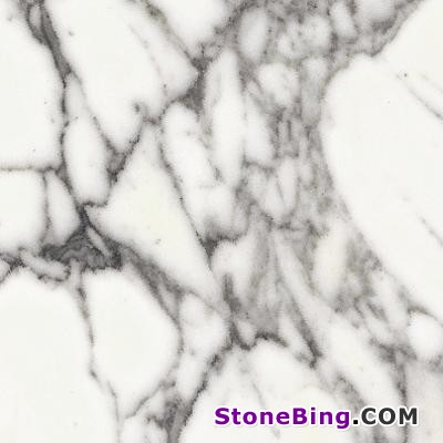 Arabescato Cervaiole Marble Tile