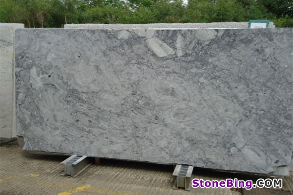 Bianca Eclipsia Granite Slab