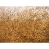 Keywest Gold Granite Tile
