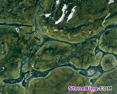 Vitoria Regia Granite Tile
