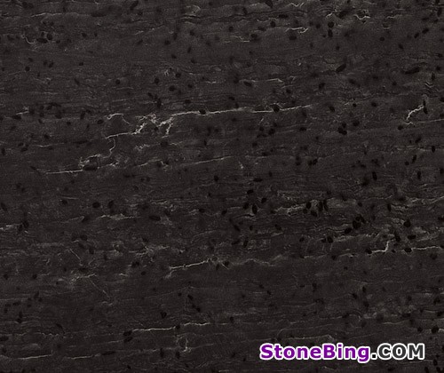 Black Meteorite Granite