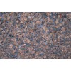 Amazon Star Granite Slab