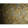 Lapidus Granite Slab