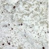 Bianco Romano Granite Tile