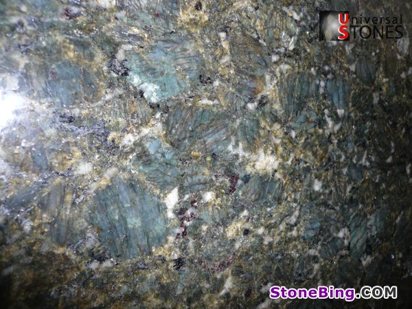 Verde Butterfly Granite Slab