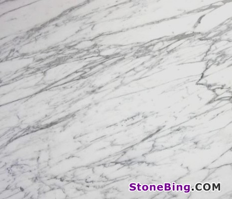 Statuarietto Marble Tile