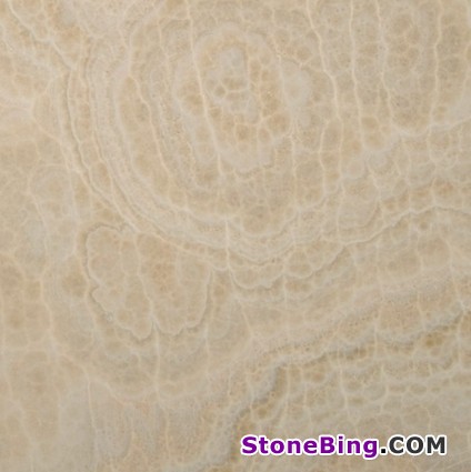 Ivory Onyx Tile