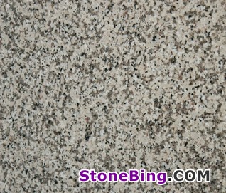 Crema Caramel Granite Tile