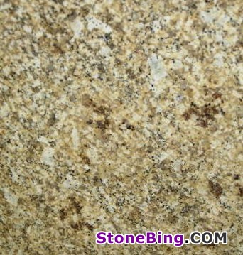 Giallo Humaita Granite Tile