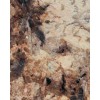 Tropical Gold Granite Tile
