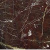 Ocean Red Quartzite Tile