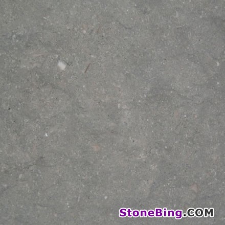 Fossil Limestone Tile
