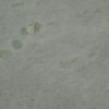 Pinta Verde Marble Tile