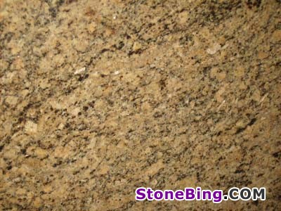 Creme Veneziano Granite Slab