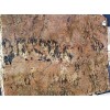 Golden Persa Granite Slab