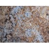 Golden Queen Granite Slab