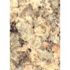 Apache Gold Granite Tile