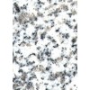Arctic White Granite Tile