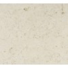 Jerusalem Bone Limestone Tile