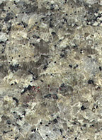 Champaigne Granite Tile