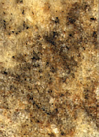 Giallo Fantastico Granite Tile