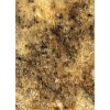 Giallo Fantastico Granite Tile