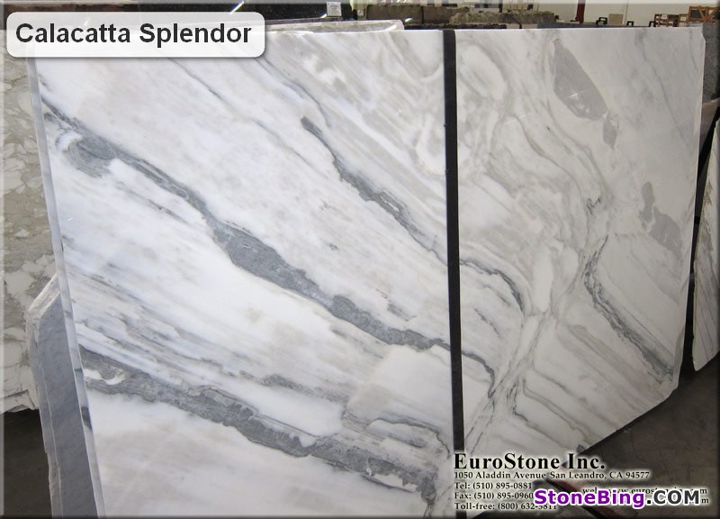 Calacatta Splendor Marble Slab