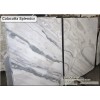 Calacatta Splendor Marble Slab