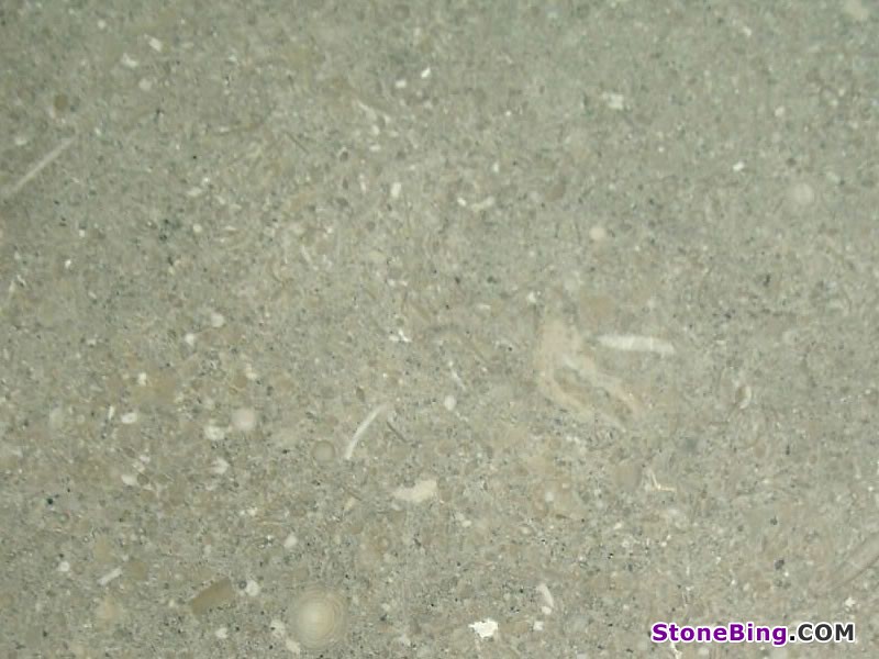 Fossil Green Limestone Tile