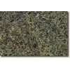 Green Tunas Granite Tile