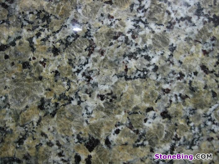 Butterfly Cream Granite Tile