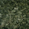 Butterfly Green Granite Tile