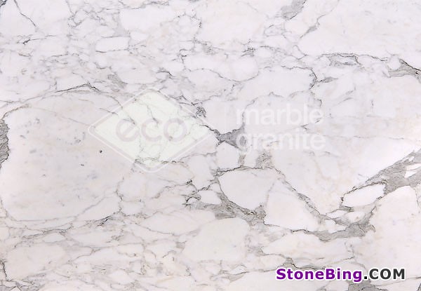 Calacata Gold Marble Tile