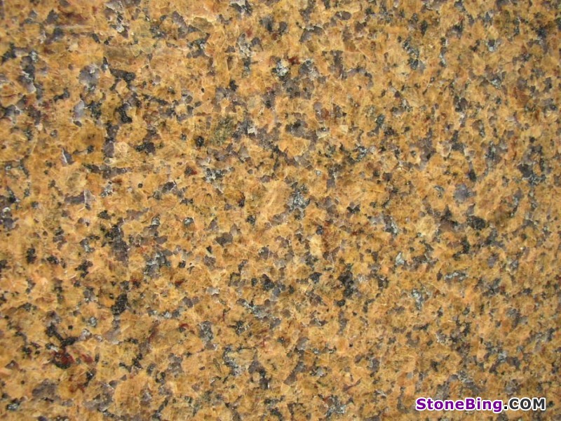 Tropical Brown Gold Granite Slab