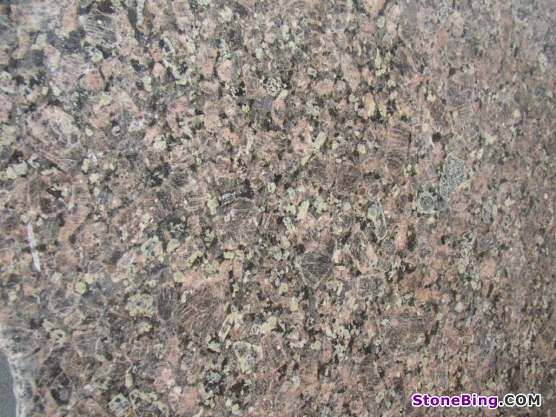 Safari Brown Granite Slab
