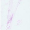 Lavender/White Culture Marble