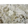 Delicatus White Granite Tile
