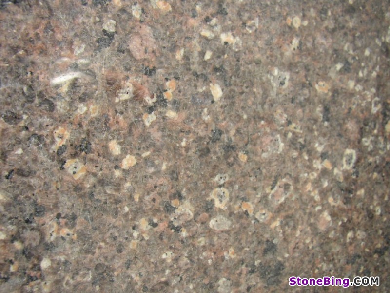 Marron Castor Granite Slab
