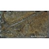 Branco San Luiz Granite Slab