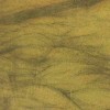 Verde Amazonia Granite Tile