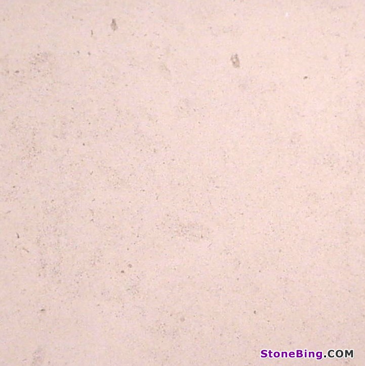 Roche Blanc Limestone Tile