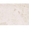 French Vanilla Marble Tile