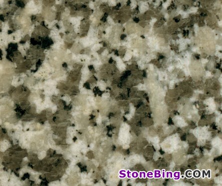 Grigio Sardo Granite Tile