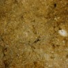 Chestnut Brown Limestone Tile
