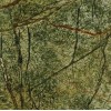 Rainforest Green Marble Tile