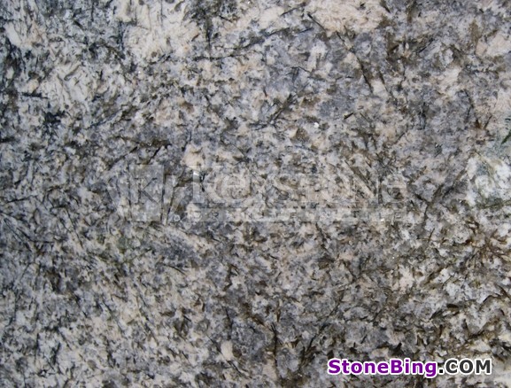 Bianco Argentino Granite Tile