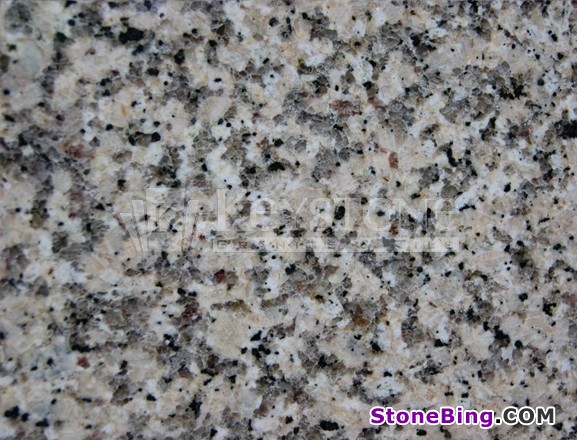 Crema Caramel Granite Tile